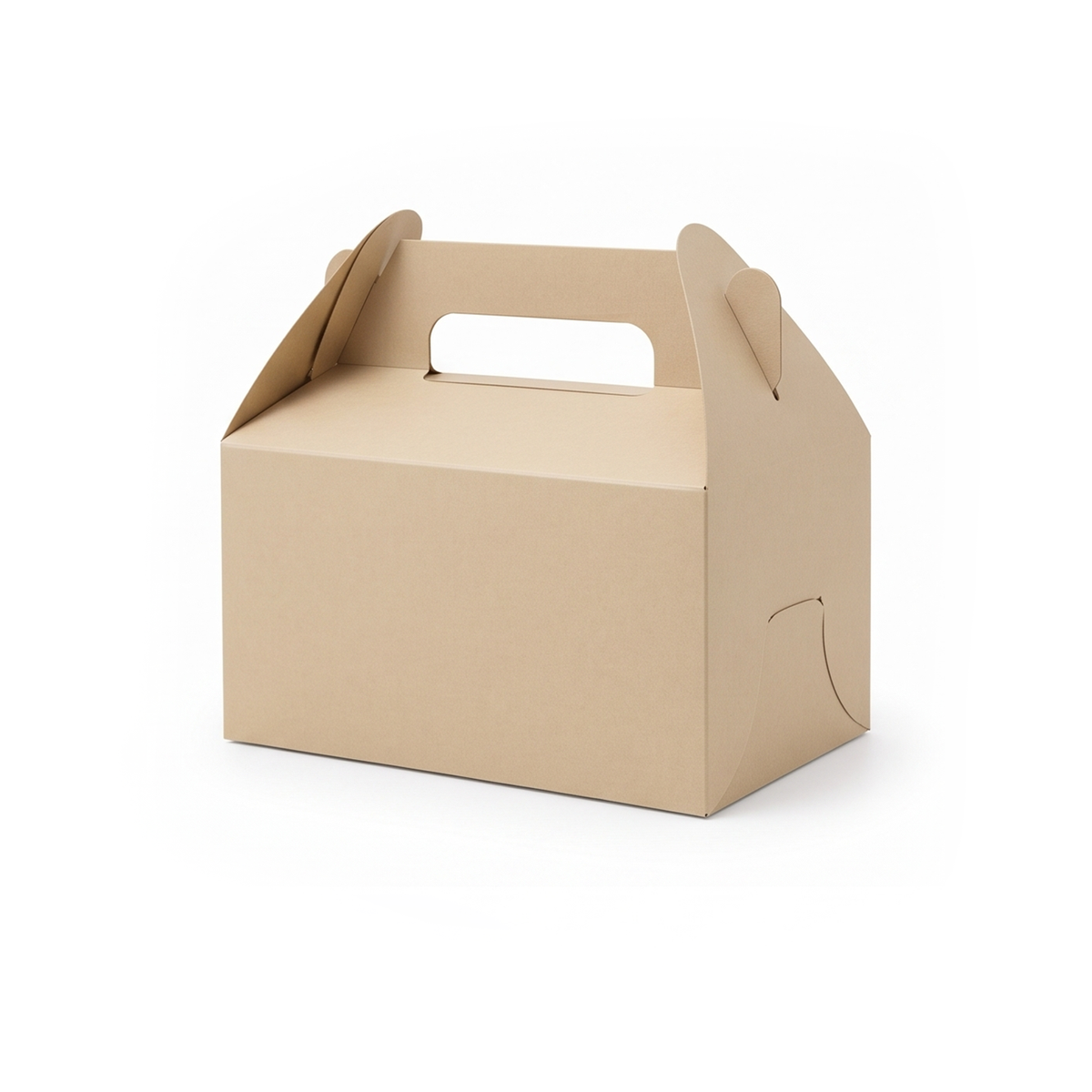 Cake Box - Rectangle 1,000pcs