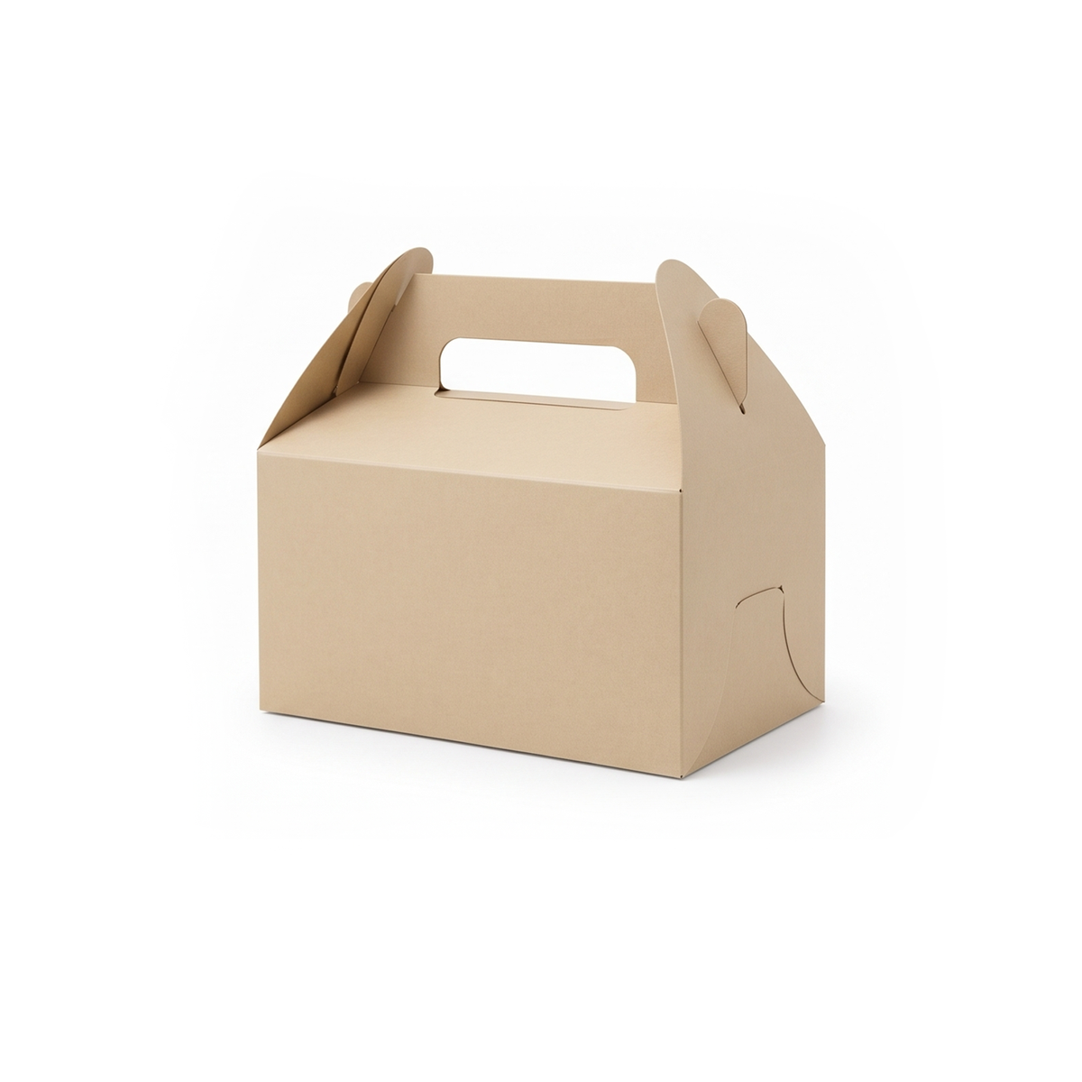 Cake Box - Rectangle 1,000pcs