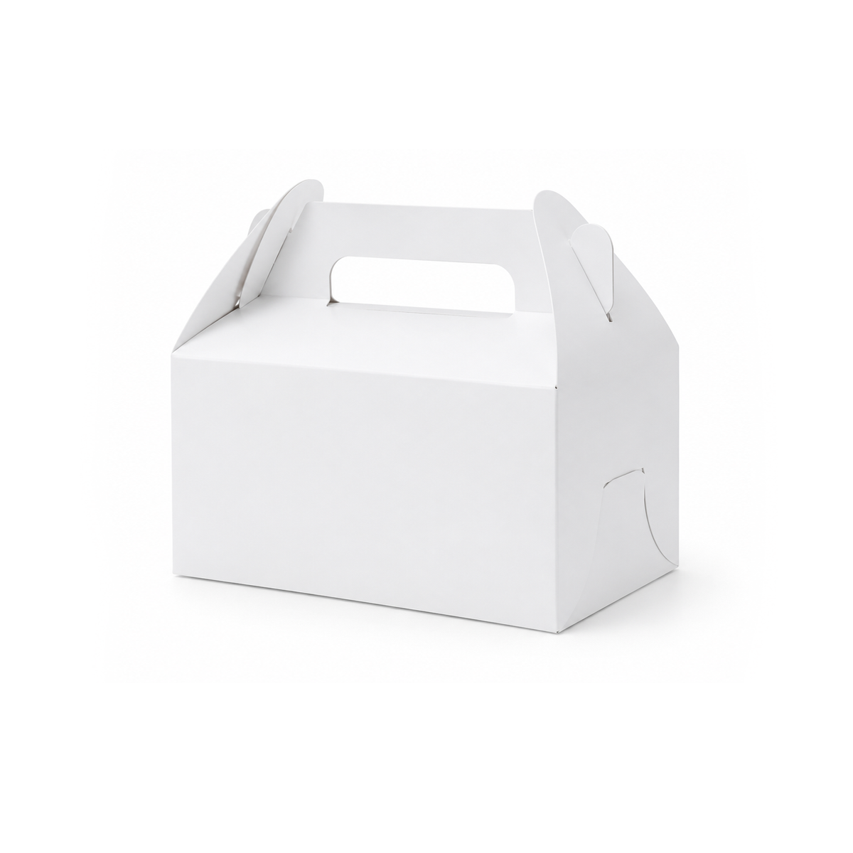 Cake Box - Rectangle 1,000pcs