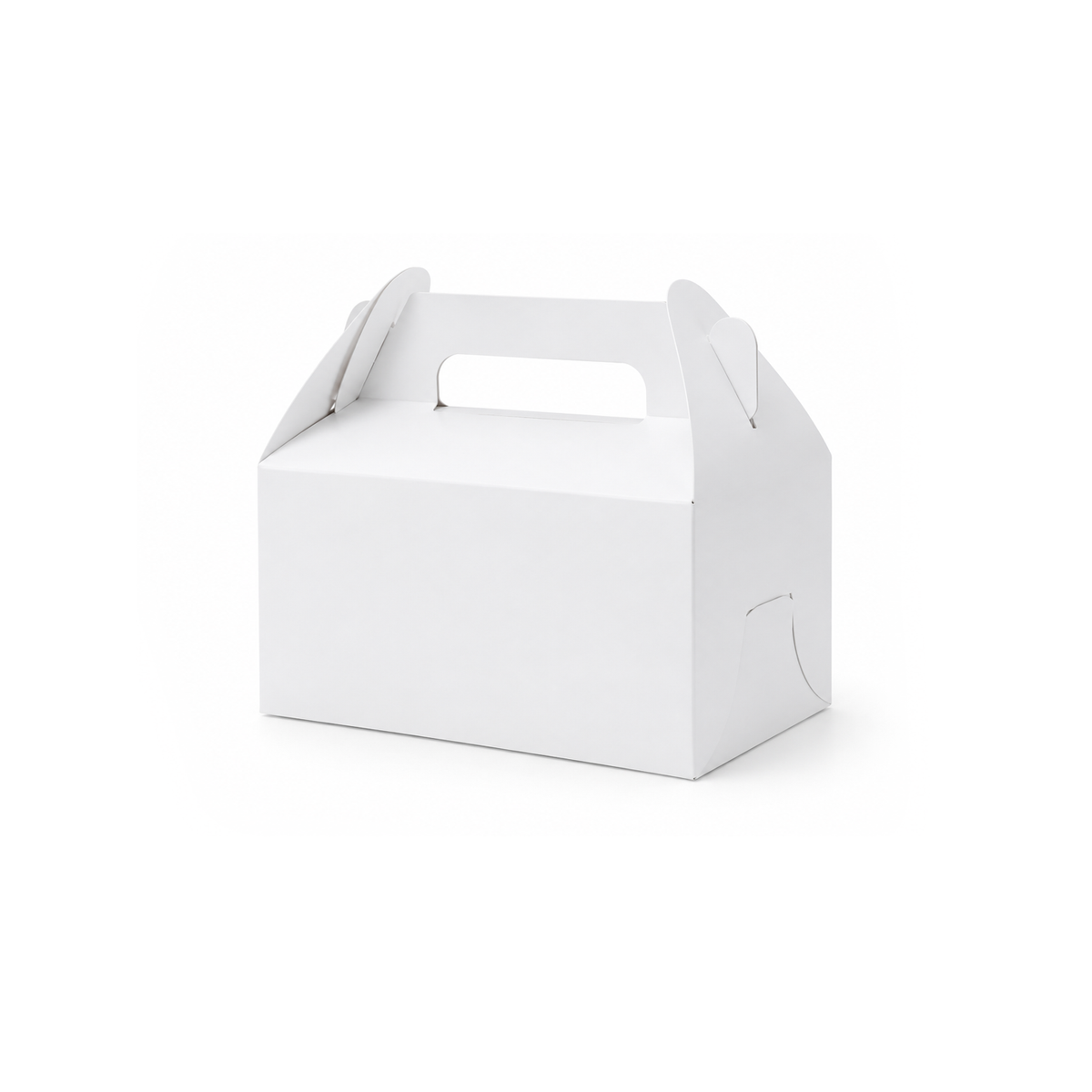 Cake Box - Rectangle 1,000pcs